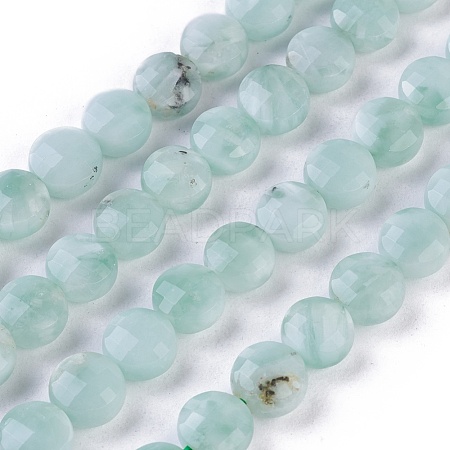 Natural Glass Beads Strands G-I247-19C-1
