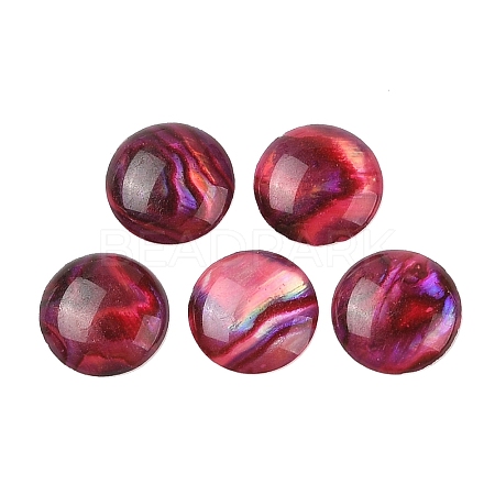 Natural Abalone Shell/Paua Shell Resin Cabochons SSHEL-K003-10MM-02-1