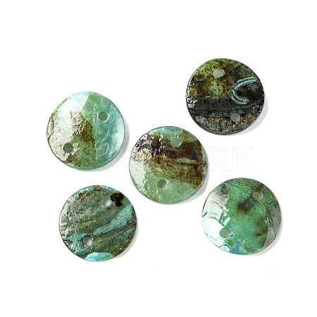 Spray Painted Natural Akoya Shell Connector Charms LS-BSHE-S304-17F-1