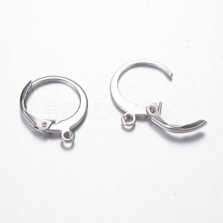Tarnish Resistant 304 Stainless Steel Leverback Earring Findings X-STAS-G059-19-1