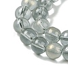 Glass Bead Strands GLAA-K068-01C-05-3
