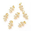 Brass Micro Pave Clear Cubic Zirconia Charms ZIRC-O036-30G-F-1