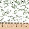 TOHO 8/0 Round Beads SEED-TR08-0560-4