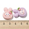Opaque Resin Decoden Cabochons RESI-F052-A03-3