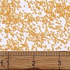 MIYUKI Delica Beads X-SEED-J020-DB2045-4