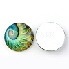 Glass Cabochons for DIY Projects X-GGLA-L020-25mm-59-2