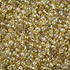 8/0 Glass Seed Beads X1-SEED-A007-3mm-162-2