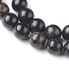 Natural Biotite Beads Strands G-L528-06C-2