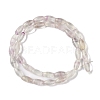 Natural Fluorite Beads Strands G-K362-I11-06-3