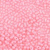 Baking Paint Glass Seed Beads SEED-L011-09A-26-3
