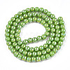 Electroplate Opaque Glass Beads Strands GLAA-T032-P4mm-AB06-3