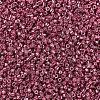 MIYUKI Delica Beads SEED-JP0008-DB0428-3