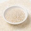 MIYUKI Round Rocailles Beads X-SEED-G008-RR0281-3