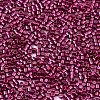 FGB 11/0 Grade A Glass Seed Beads X-SEED-S030-1211-2