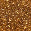 Transparent Colours Glass Seed Beads SEED-P006-02A-15-3