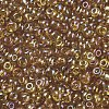12/0 Round Glass Seed Beads SEED-US0003-2mm-162B-2