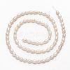 Natural Cultured Freshwater Pearl Beads Strands X-PEAR-Q006-02-2