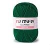 4-Ply Polyester & Acrylic Fiber Yarn for Tufting Gun Rugs PW-WG2A0C2-10-1-1