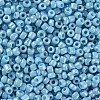 Opaque 8/0 Glass Seed Beads SEED-S023-01B-03-2