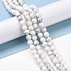 Natural Howlite Beads Strands G-E571-29A-2
