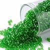 TOHO Round Seed Beads SEED-JPTR11-0007-1