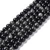 Natural Silver Obsidian Beads Strands G-D083-01C-1
