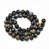 Natural Glaucophane Beads Strands G-R485-12-8mm-2