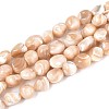 Natural Trochid Shell/Trochus Shell Beads Strands SSHEL-N040-13-1