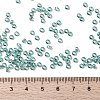 MIYUKI Round Rocailles Beads X-SEED-G008-RR2445-4