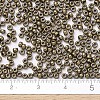 MIYUKI Round Rocailles Beads SEED-G007-RR0457-4