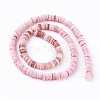 Natural Shell Beads Strands X-SSHEL-E571-49A-5