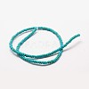 Faceted Rondelle Synthetic Turquoise Beads Strands TURQ-I015-10x6mm-06-2