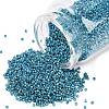 MIYUKI Delica Beads LS-X-SEED-J020-DB2513-1