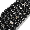 Assembled Synthetic Stone and Trochus Shell Beads Strands G-B128-08D-04-1