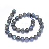 Natural Labradorite Beads Strands G-F602-04-8mm-01-2