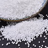 MIYUKI Delica Beads LS-X-SEED-J020-DB0200-1