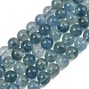 Natural Blue Fluorite Beads Strands GG-CBAF158-10mm-2