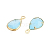 K9 Glass Charms GLAA-T023-10C-2