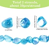 100Pcs Natural Trochid Shell/Trochus Shell Beads BSHE-SC0001-16A-2