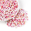 Two Tone Baking Paint Glass Seed Beads SEED-F005-01A-15-4