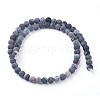 Natural Weathered Agate Beads Strands G-F628-01-B-2