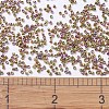 MIYUKI Delica Beads SEED-X0054-DB0507-4
