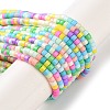 Handmade Lampwork Beads Strands LAMP-L078-008I-1