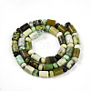 Natural Serpentine Beads Strands G-N346-03A-04-3
