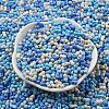 Opaque Baking Paint Glass Seed Beads SEED-K009-01A-29-2