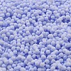 Macaron Color Opaque Frosted Glass Seed Beads SEED-K009-12B-12-3