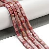 Natural Rhodonite Beads Strands G-C129-A14-01-2