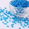 (Repacking Service Available) Glass Seed Beads SEED-C017-3mm-M3-1