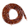 Natural Garnet Beads Strands G-P457-B01-18A-3