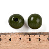 Painted Natural Wood Beads WOOD-A018-16mm-06-3